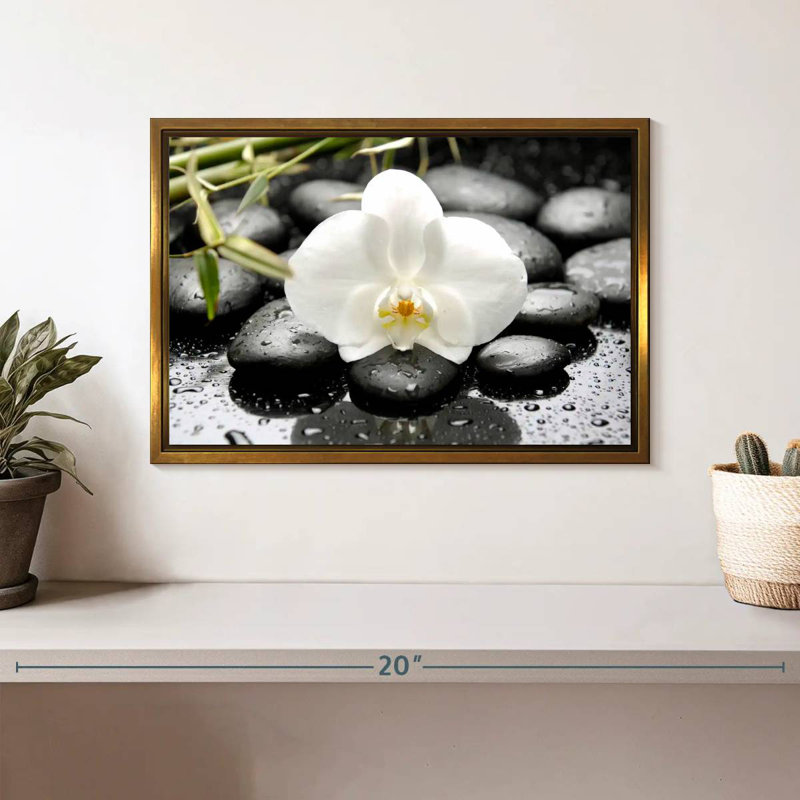 Orchidée blanche, Cadre flottant doré, 13 po x 9 po