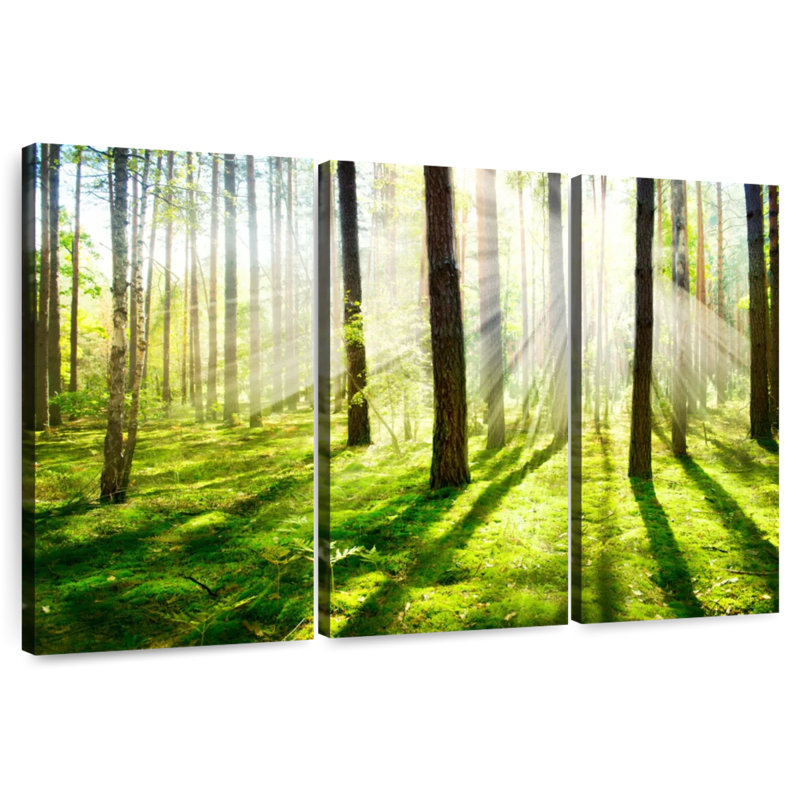 Harnek Sunshine Trees, H 28 po x l 45 po