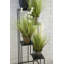 Ferris Metal Plant Stand