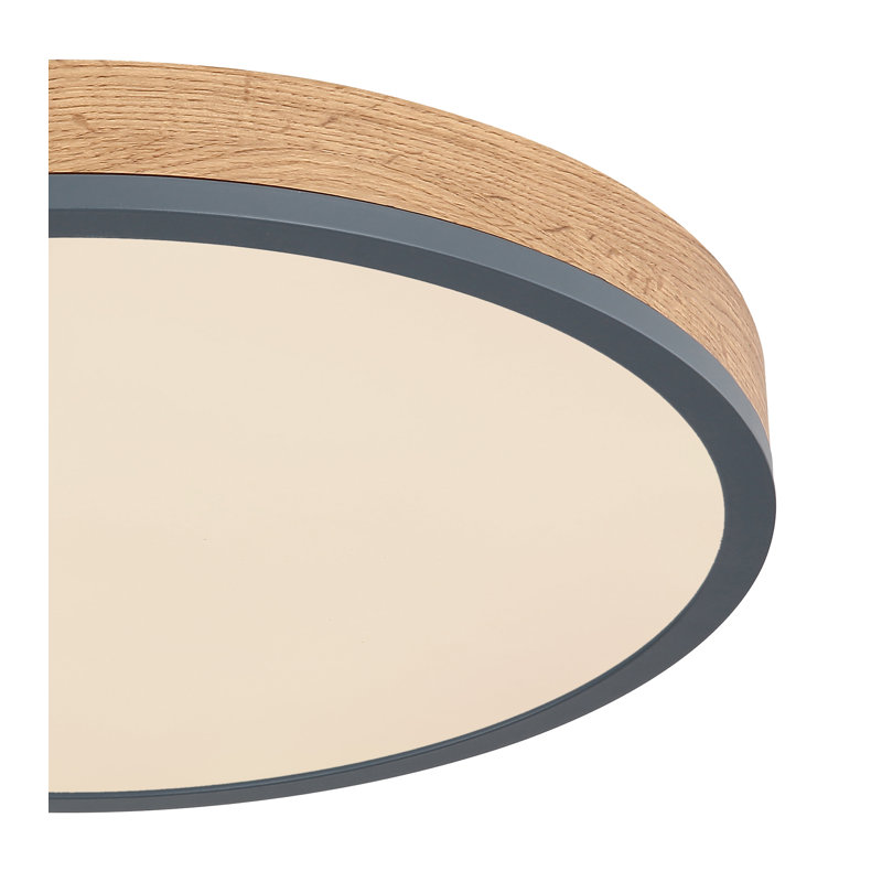 Tejal Plastic LED Flush Mount, 10cm H x 40cm W x 75cm D
