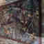 Photos des clients 1 de 1