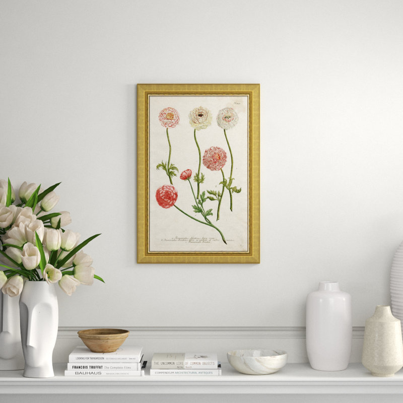 Weiman Ranunculous Giclee Print