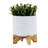 8" Textured Planter W/ Stand
