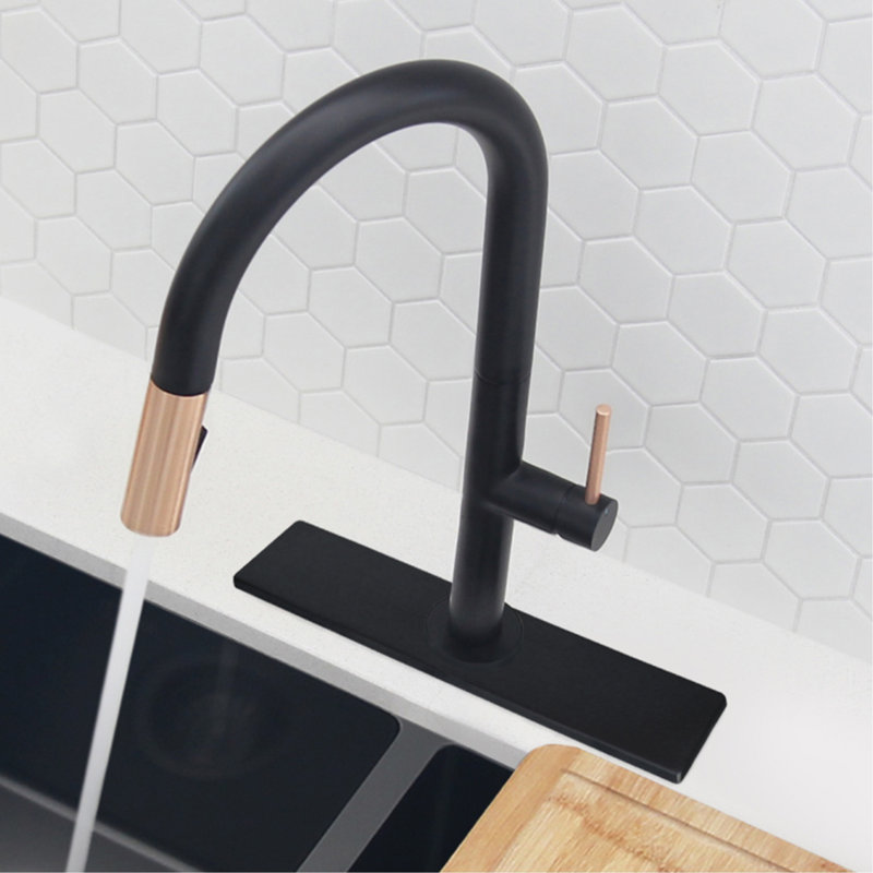 Écusson de plaque de recouvrement pour évier de cuisine Harmony, Noir mat