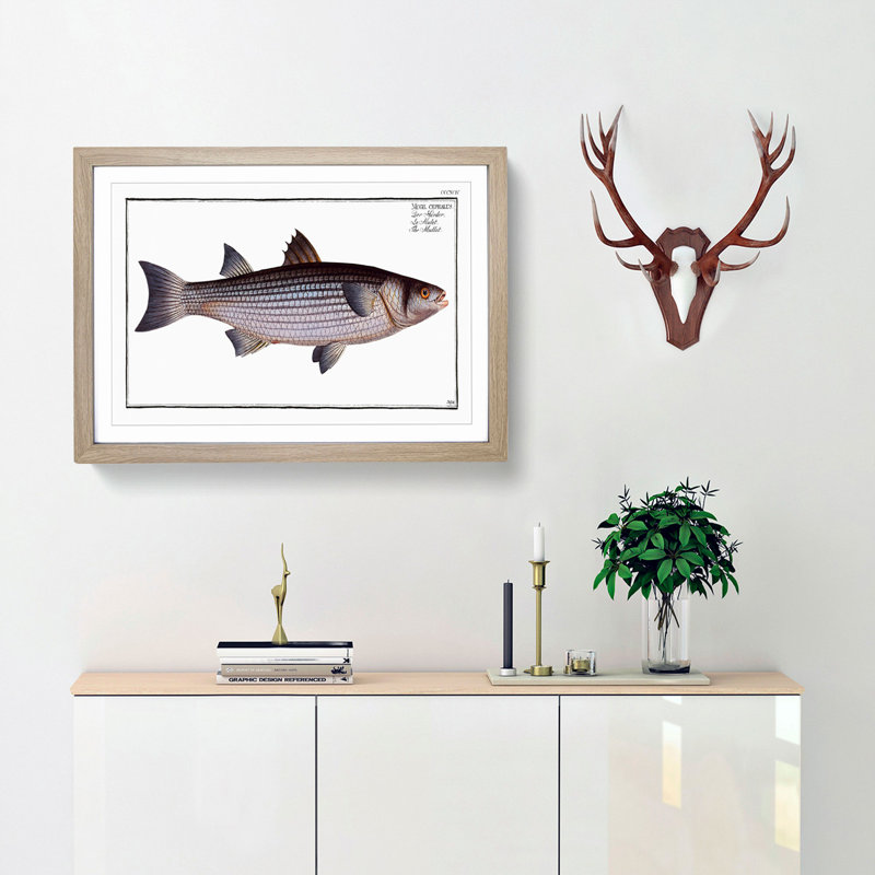 Mullet Fish by M.E. Bloch - Picture Frame Painting Print, 27cm H x 36cm W x 2cm D, Oak Framed