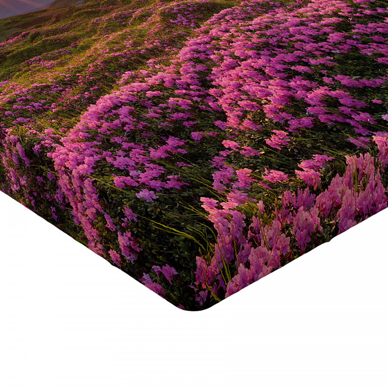 Drap ajusté nature, Drap-housse de taille simple