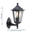 Abaigeal Black 36cm H Outdoor Wall Lantern