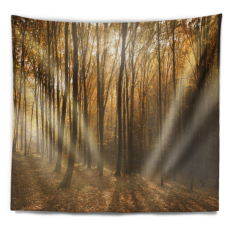 Tapisserie épaisse vert d'automne avec brouillard, H 32 po x l 39 po