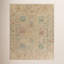 Newham Wool Oriental Area Rug in Pink-1284131516
