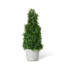 Faux Dracaena Plant-1861991715