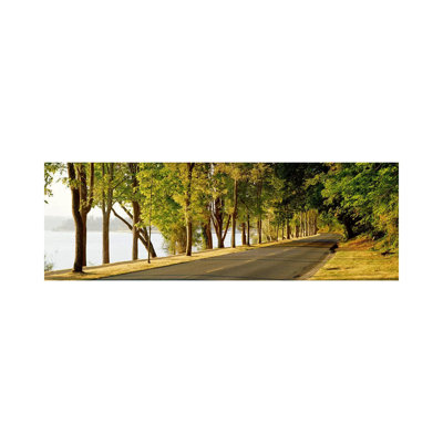 Trees On Both Sides Of A Road, Lake Washington Boulevard, Seattle, Washington State, USA - Wrapped Canvas Panoramic Print