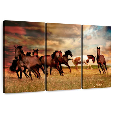 Chevaux sauvages dans la prairie