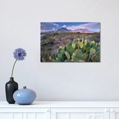 Opuntia Cactus, Chisos Mountains, Big Bend National Park, Chihuahuan Desert, Texas I 1 Piece Wrapped Canvas Wall Art