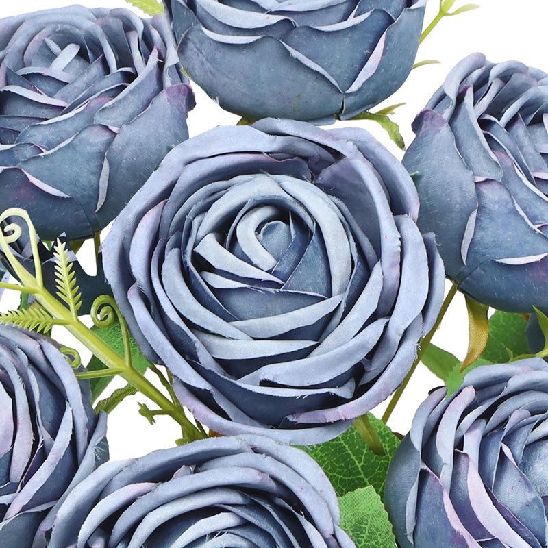 Rosiers Torres, Gris bleu