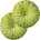 Apple Green