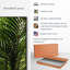 Into the Jungle sur toile-432804480