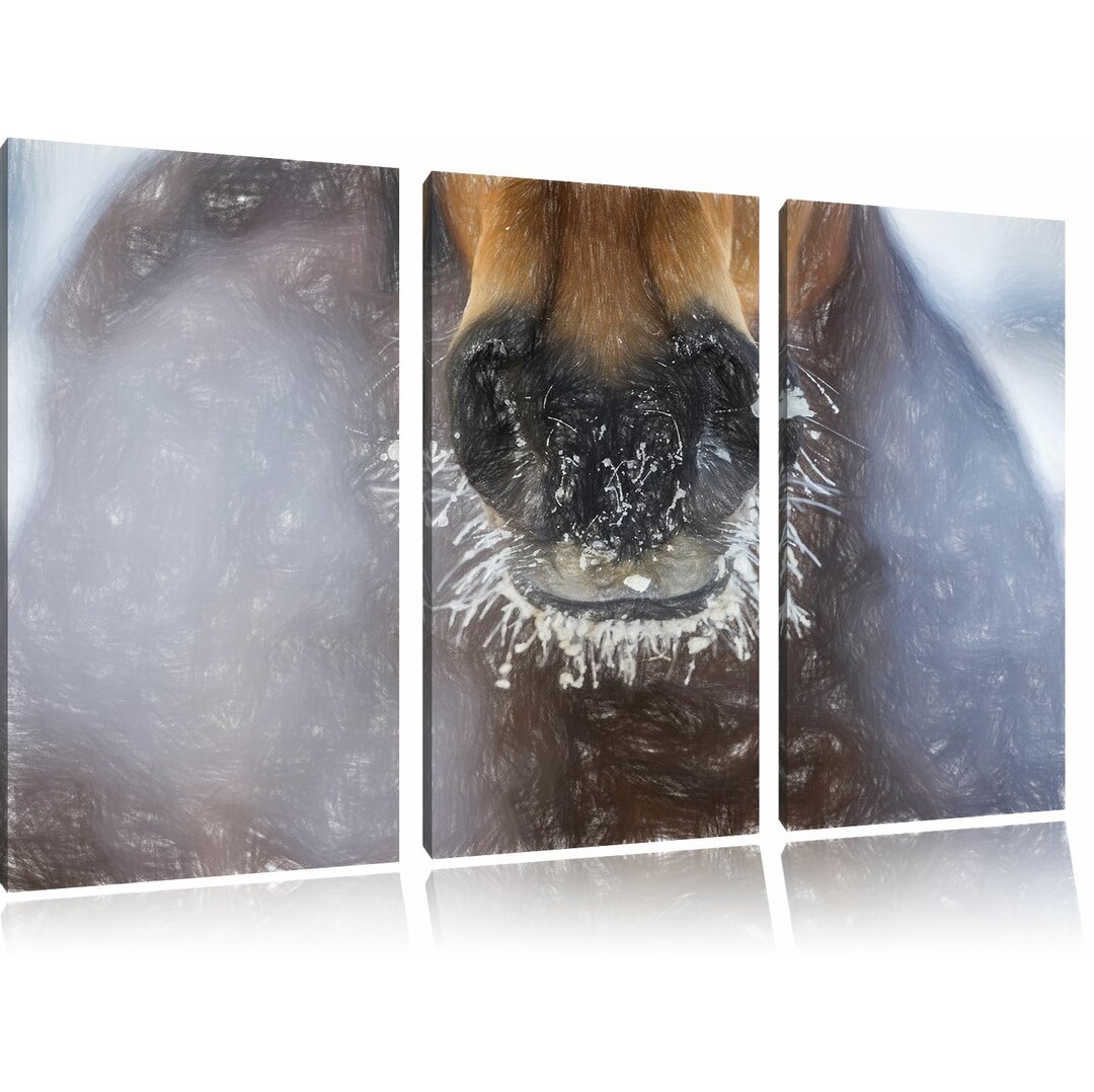 3-tlg. Leinwandbilder-Set „Pferdeschnauze mit Eisflocken“, Grafikdruck