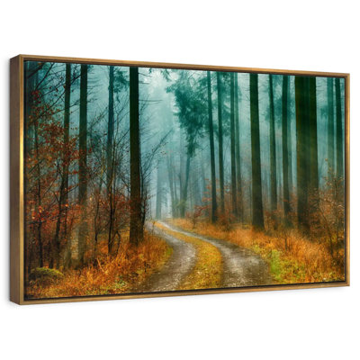Autumn Forest Pathway