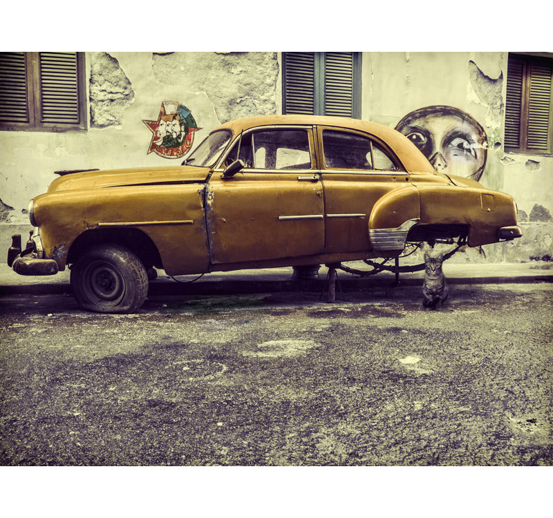 1 Piece Wrapped Canvas Wall Art