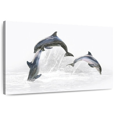 Three Dolphins