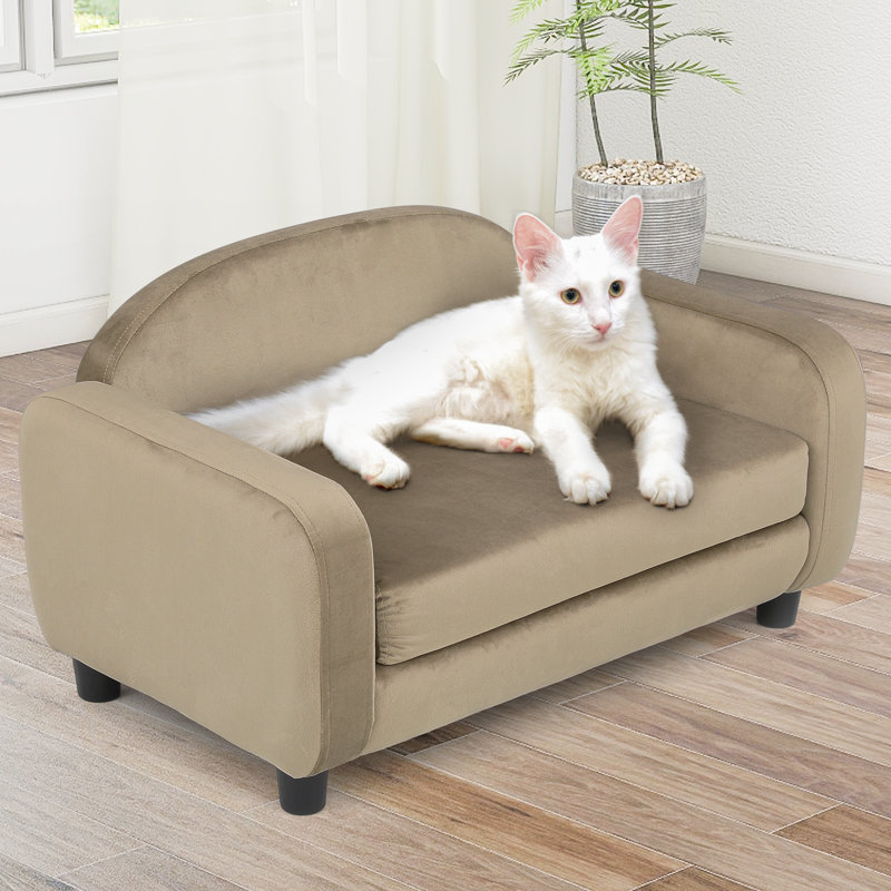 Light Brown Velvet Elevated Pet Sofa with Removable Cushion
