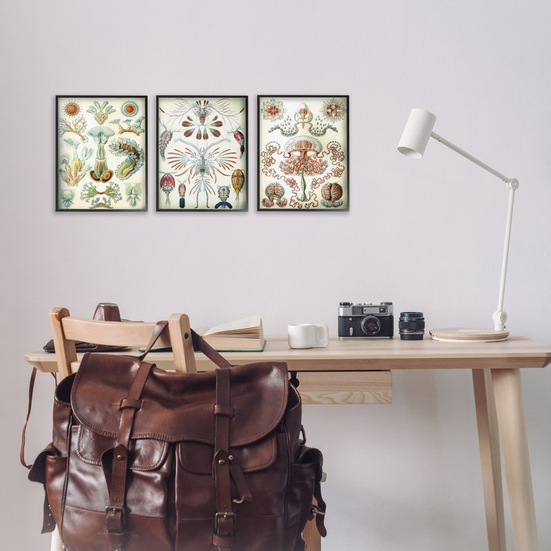  Crustacés microscopiques rétro, ensemble de 3 giclées par Graffi *ee Studios, H 14 po x l 11 po, Giclée encadrée noir minuit