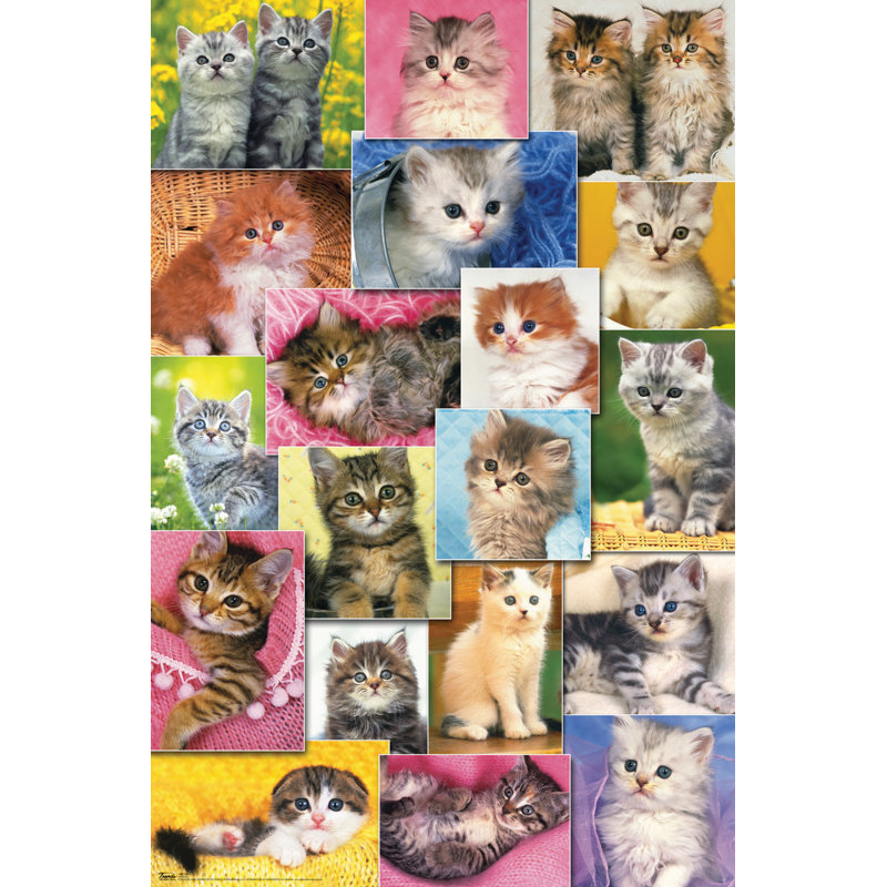 Impression sur papier 2 chatons