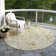 Machine Washable Indoor/Outdoor Claudian ACN1505 Wheat Rug