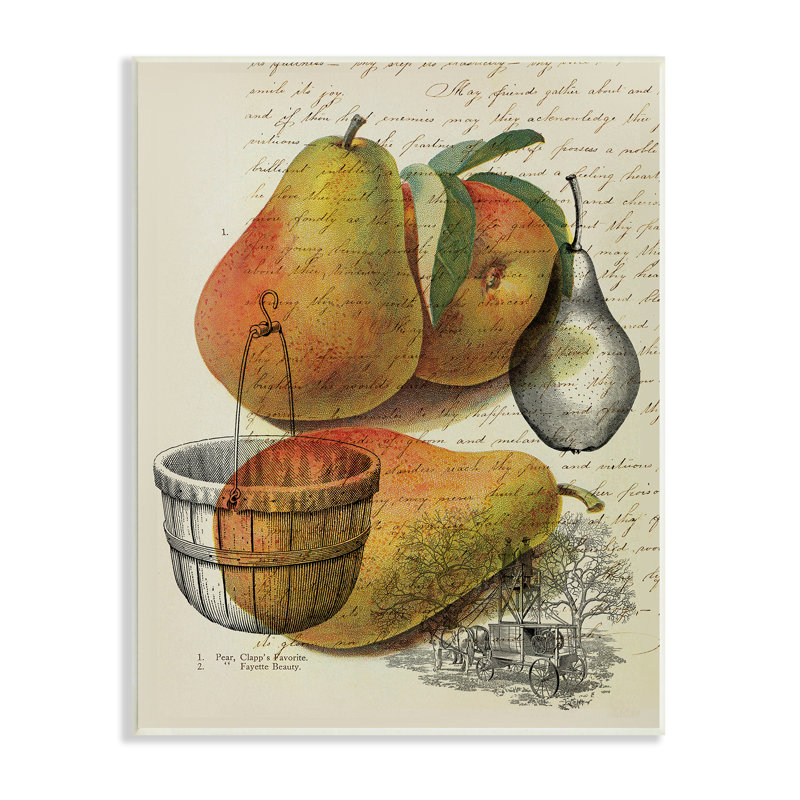 «Pear Fruit Harvest Illustration Vintage Text Passage» par Daphne Polselli - Peinture, H 19 po x l 13 po, Plaque murale