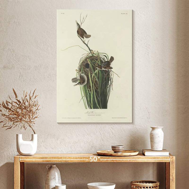 Keiri Marsh Wren, 39" H x 26" W