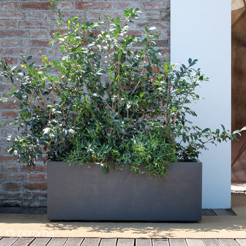 Deroma Millennium Planter | Rectangle | Light & Durable Plastic | Indoor Or Outdoor Pot For Patio/porch | Includes Water Reserve & Drain Plug | Pot For Plants, Flowers, Garden | Black