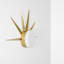 1 - Light LED Flush Mounted Sconce
