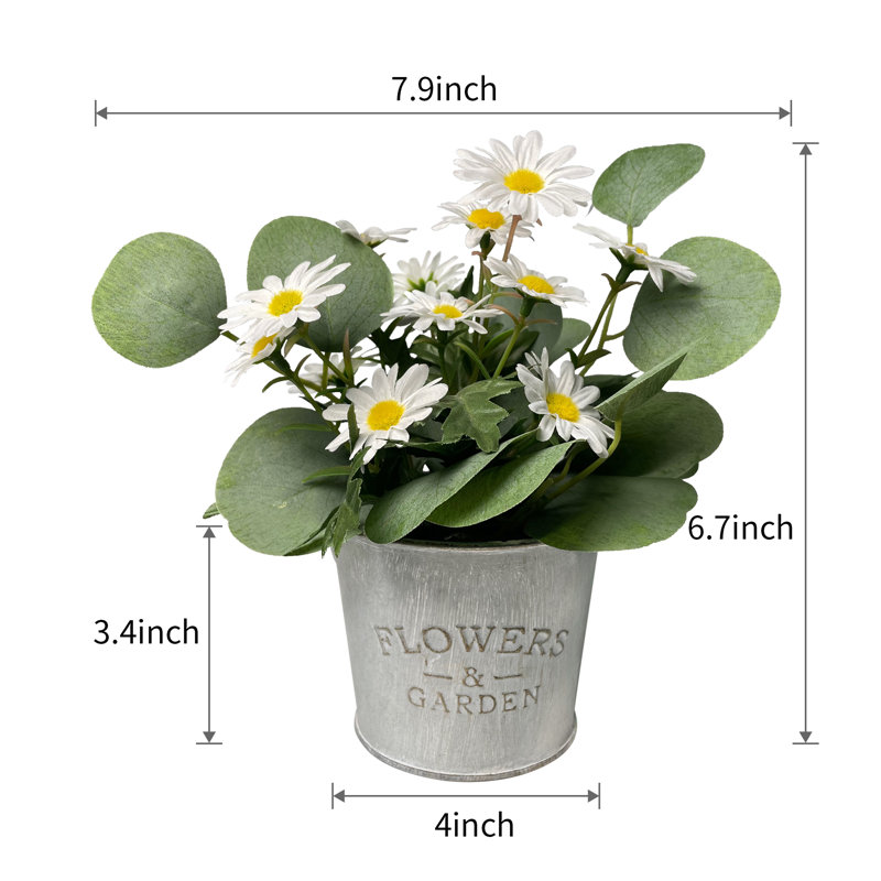 Arrangement floral Gira en pot