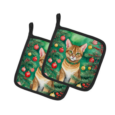 Paire de poignées Chausie
