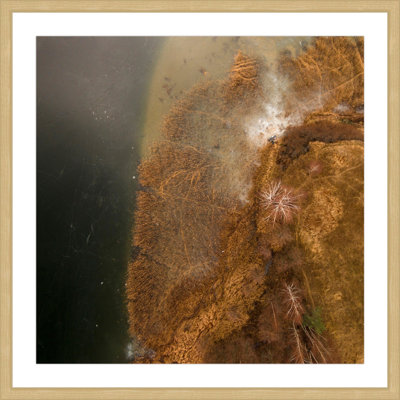 "Undersea Earth" by Karolis Janulis Framed Print