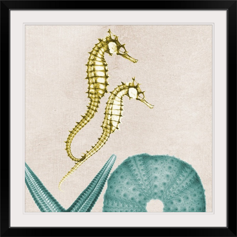 «Under the Sea II X-Ray» par Albert Koetsier, reproduction de photo, H 20" x l 20" x P 1", Cadre noir