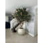 Artificial Olive Tree 30" Globe Planter-445470675