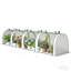 Serre portative, petite serre large-126622312