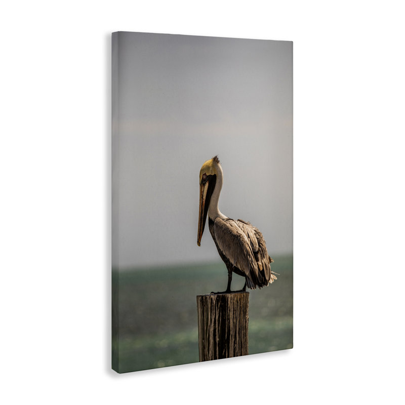 «Nautical Landscape Pelican Canvas» par Aaron Matheson, H 24 po x l 16 po