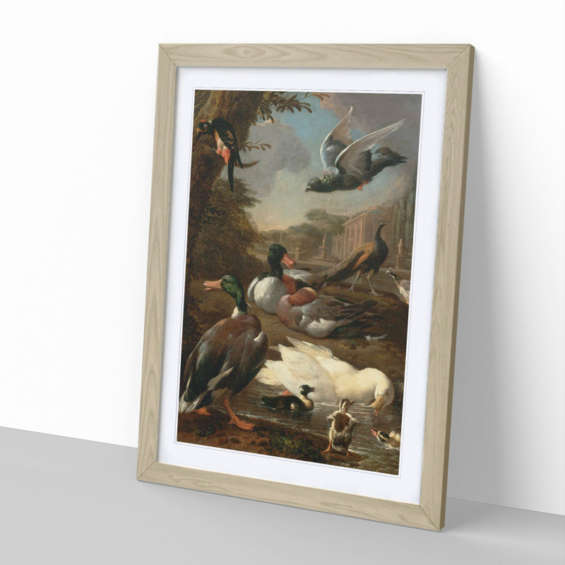 Collection of Birds Vol.2 by Melchior D'Hondecoeter - Picture Frame Painting, 36cm H x 27cm W x 2cm D, Oak Framed