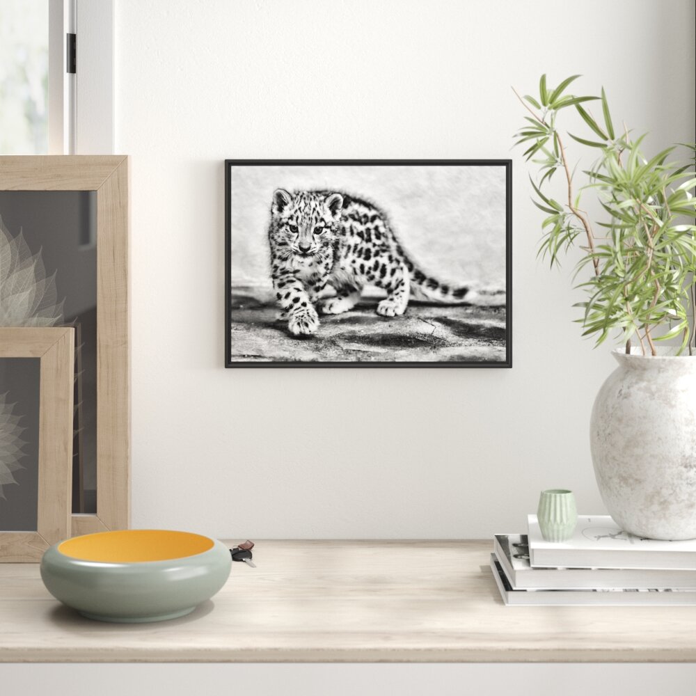 Gerahmtes Wandbild stolzierendes Leopardenjunges