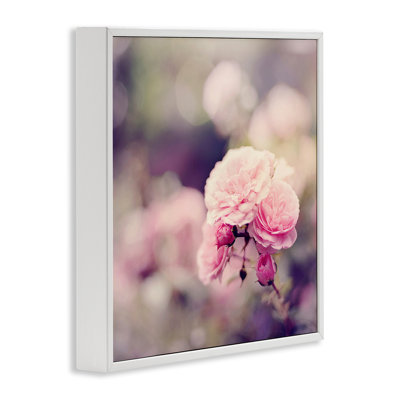 Pink Garden Ranunculus Giclee Art by Sarah Gardner