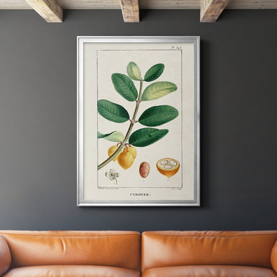" Turpin Tropical Botanicals V "