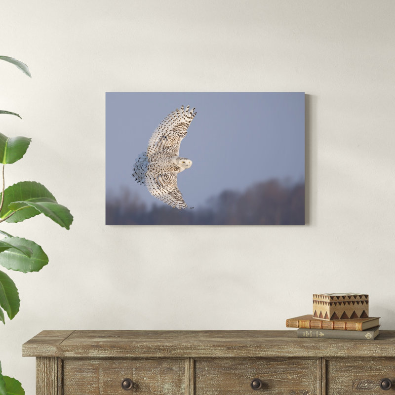 Hibou en vol V, H 20 po x l 30 po x P 1,25 po