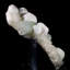 Mordénite et apophyllite sur Stilbite