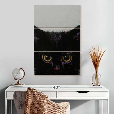 Chaton Brampt noir