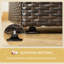 Lit pour chien en rotin avec auvent pliable