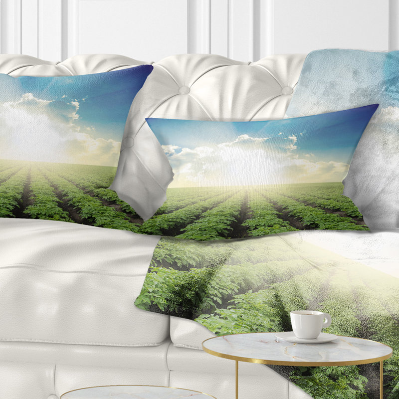 Coussin lombaire Schafer