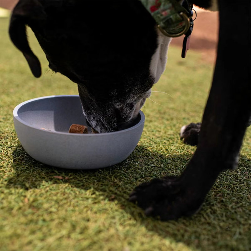 Bol d'eau pour chien en caoutchouc gris