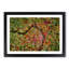 Road Through the Forest - Picture Frame Graphic Art Print-55758666-55758670